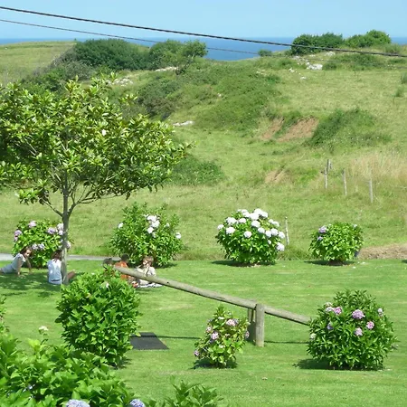 Migal Cué