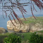 Migal