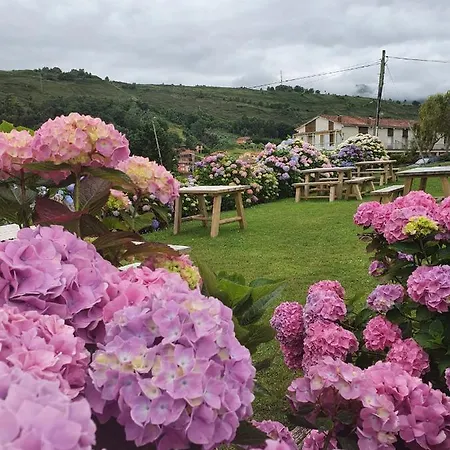 米加尔酒店 酒店