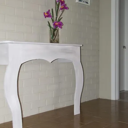 酒店 米加尔酒店 克尤