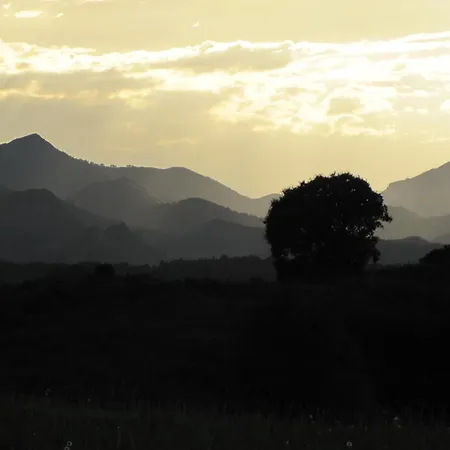 酒店 米加尔酒店 克尤