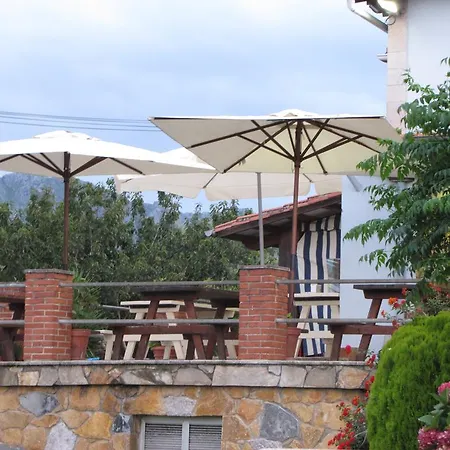 Hotel Migal